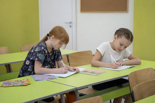 Two pupils working at their desks in class