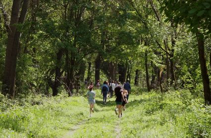Pupils on a school hike through the forest